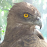 Avatar photo